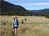 Totara Flats 2006