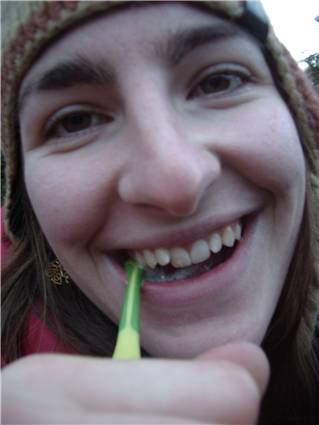 Terror and the toothy pegs