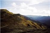 Tararua Tops