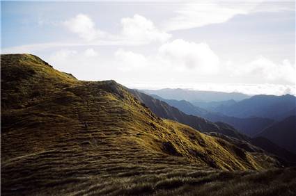 Tararua Tops