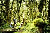 Richie and Tararua Goblin forest