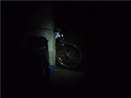 An unusual sight at Smith's Creek Shelter
