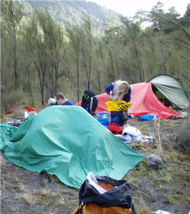 The morning after