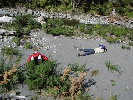 Too much bushcraft