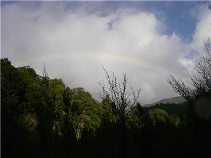 Rainbows are nice.