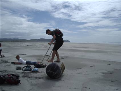 Special needs Regan on farewell spit