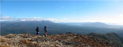 panorama_tops.jpg