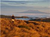 Nice view of Ruapehu