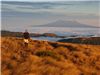 Nice view of Ruapehu