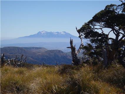 Nice views of Ruapehu