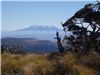 Nice views of Ruapehu