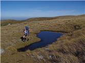 Stunning tops on a nice day!