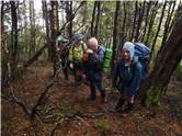 Bushbashing in the rain