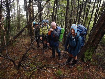 Bushbashing in the rain