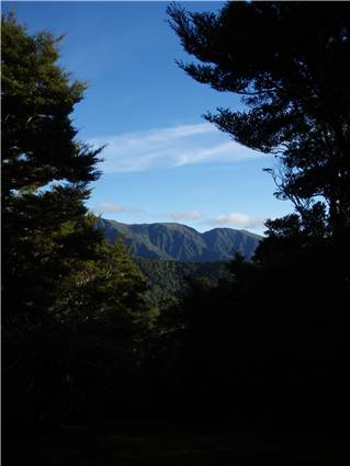 The View - before Annabel arrived in the Tararuas