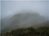 Good old Tararua Mist