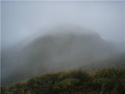 Good old Tararua Mist