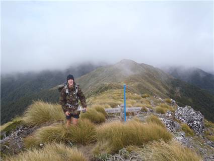 Rob up on the misty tops