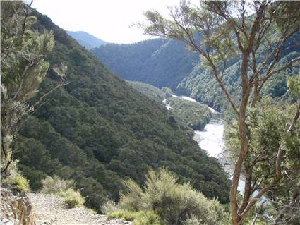 The Mohaka valley, just downstream of Te Puia Lodge