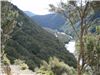 The Mohaka valley, just downstream of Te Puia Lodge