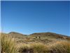 Nice Landscape of the Kaweka Tops