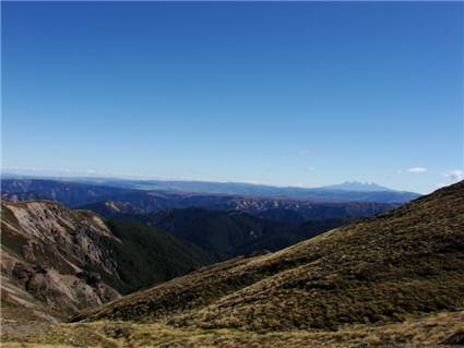 Kaweka Tops Looking towards Mt Ruapehu
