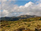 Kaweka Ridge