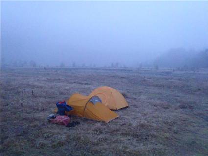 misty morning on the matakitaki