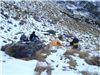 camping at the top of the matakitaki 