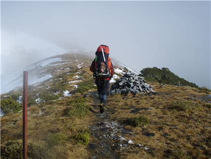 Tops on way up to Mt Arthur