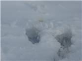 Don't eat the yellow snow