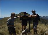 Junction Knob