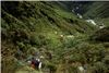 Enjoying the scrub gardens of the upper Arawhata