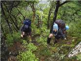 Steep bush!
