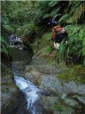 Stream scrambling