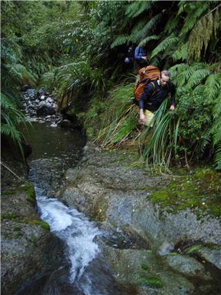 Stream scrambling