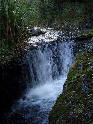 Cute cascade