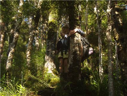 Tree hugging