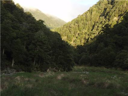 Looking up valley from Colenso hut