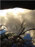 Reflections