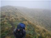 Misty tops