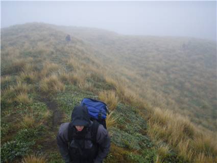 Misty tops