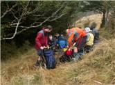 Break at bushline