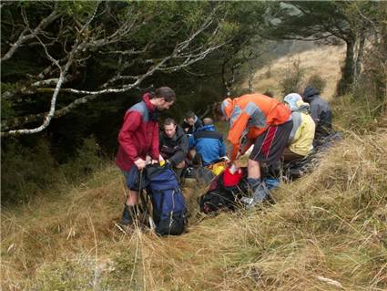 Break at bushline
