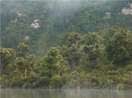 Lake Colenso