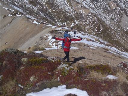 Hazel enjoying the Kaweka tops