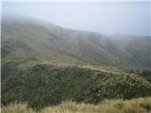 Pohangina Saddle