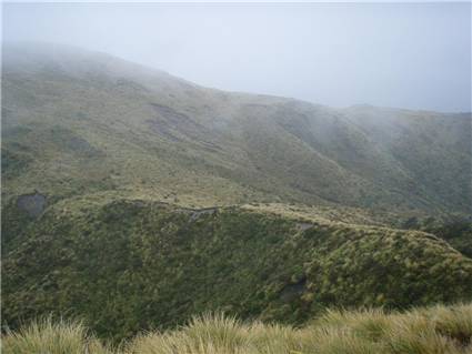 Pohangina Saddle