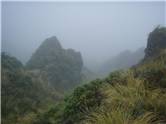 Misty tops