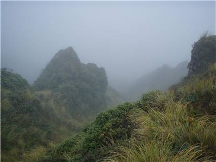 Misty tops